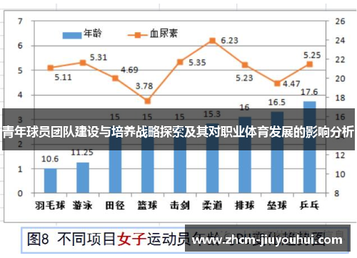 青年球员团队建设与培养战略探索及其对职业体育发展的影响分析